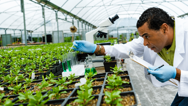 Dr. Rajinder Kumar Dhall: A Trailblazer in Horticultural Research
